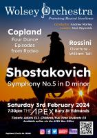 poster for concert on Saturday 3 Feb 2024
