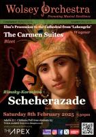 poster for concert on Saturday 8 Feb 2025